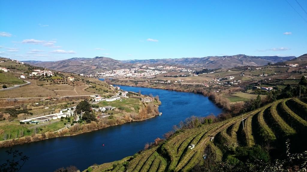 Villa Casa Quinta Da Adega Do Chao - Vale Do Douro Lamego Zimmer foto
