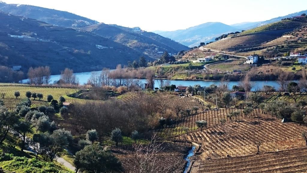 Villa Casa Quinta Da Adega Do Chao - Vale Do Douro Lamego Zimmer foto