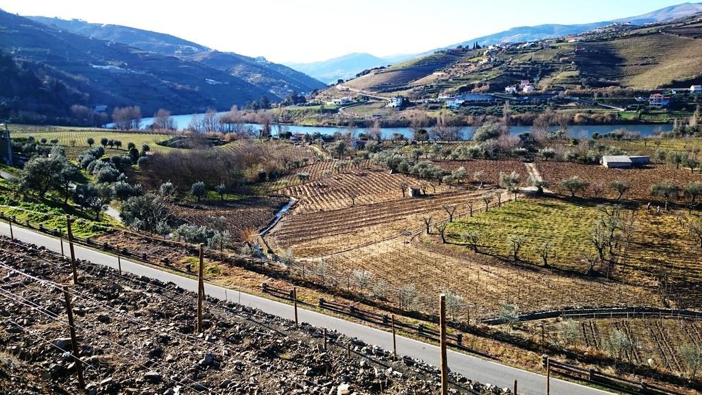 Villa Casa Quinta Da Adega Do Chao - Vale Do Douro Lamego Zimmer foto